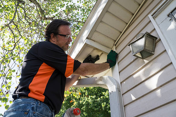 Affordable siding repair and maintenance services in Clever, MO